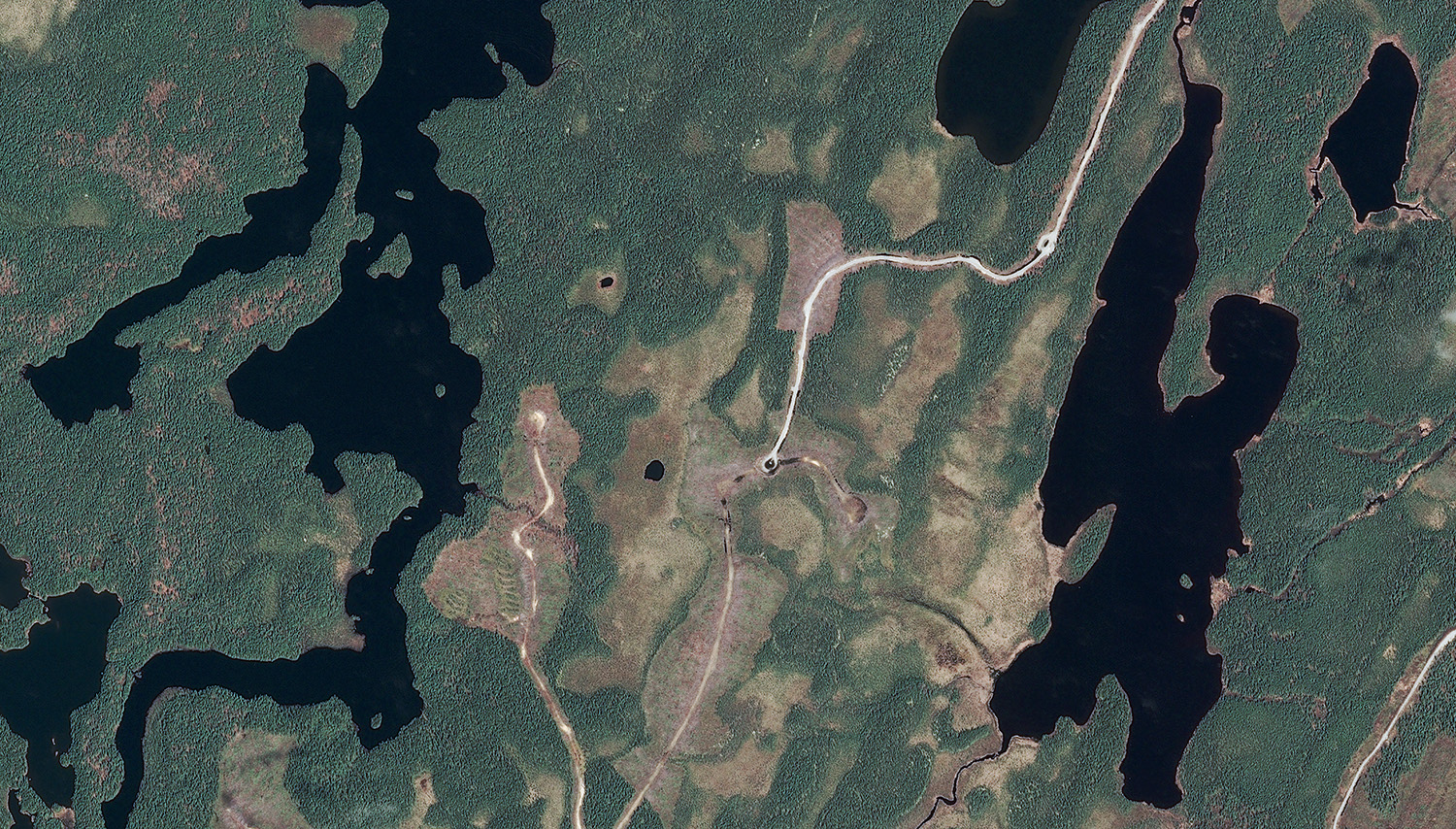 Natural Color Orthophotography from Satellite